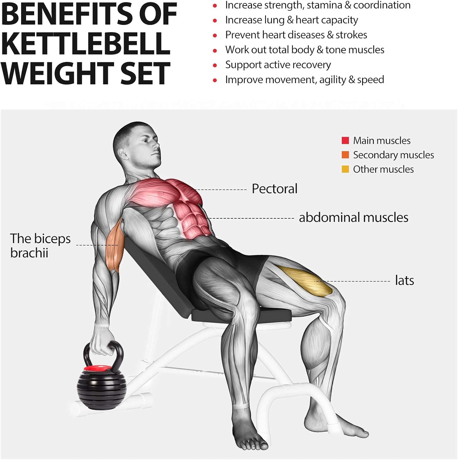 Adjustable Kettlebell Weights Set Cast Iron Exercise Fitness Kettle Ball Grip 5, 8, 9,12Lb Free Weight Men Women Kettlebells for Home Gym Workout Ballistic, Core,Strength Training